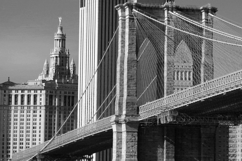 Black and white_0021